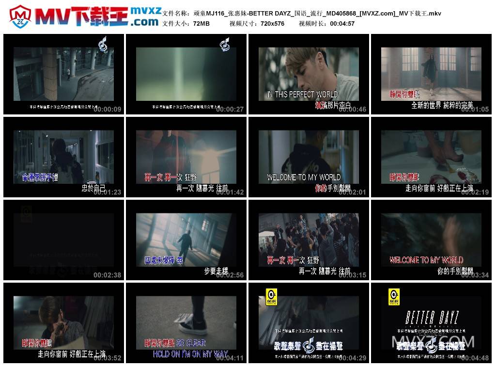 顽童MJ116_张惠妹-BETTER DAYZ_国语_流行_MD405868